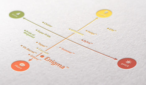 ENIGMA_FLAVSPECTRUM - blog