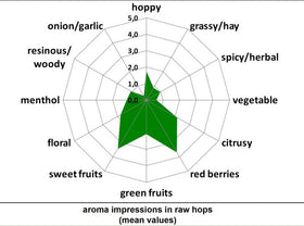 Callista-Spider-2-768x570