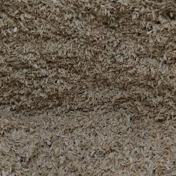 rice-hulls