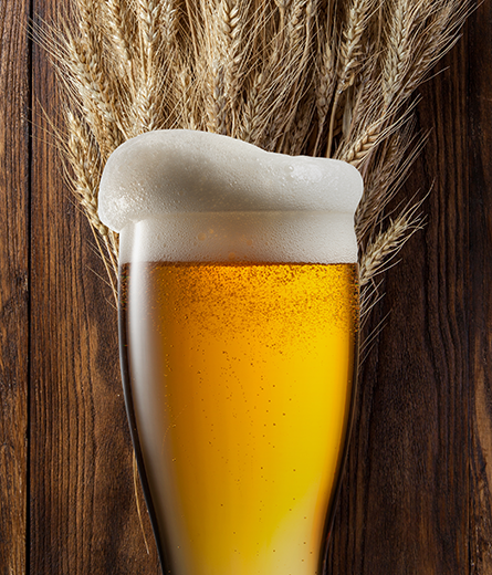 wheat_beer_in_glass_with_wheat
