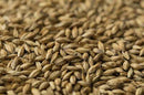 Gladfield Peated Malt 20 ft bulk container-1