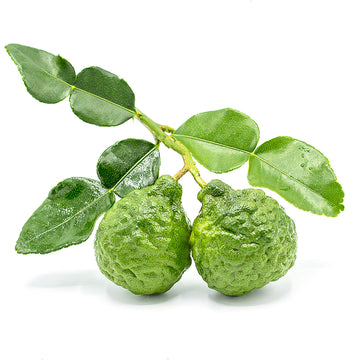 BeerCo Wild Lime Blavour
