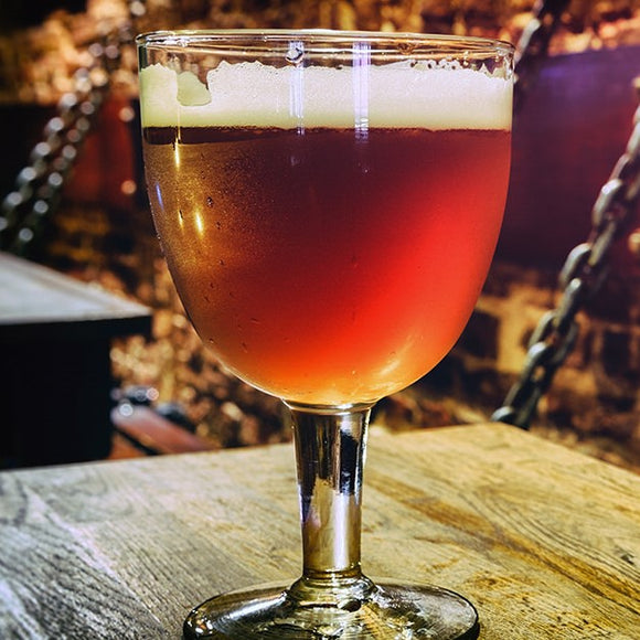 Bernard | Belgian Abbey Ale | BeerCo All Grain Brewers Recipe Kit