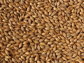 Crisp Best Ale Malt