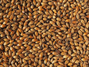 Crisp Brown Malt-1