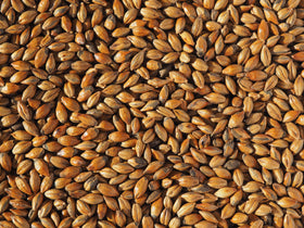 Crisp Brown Malt