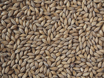 Crisp Chevallier Ale Malt