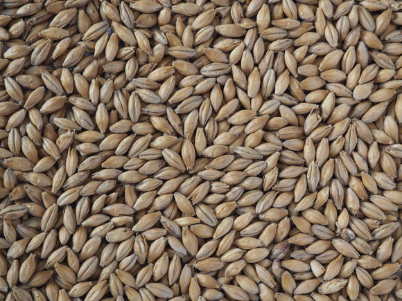 Crisp Chevallier Ale Malt