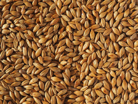 Crisp Cara Malt