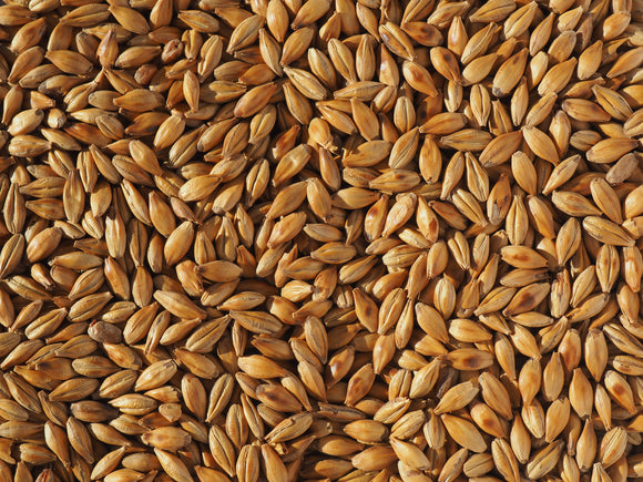 Crisp Cara Malt