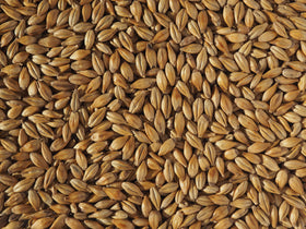 Crisp Cara Gold Malt