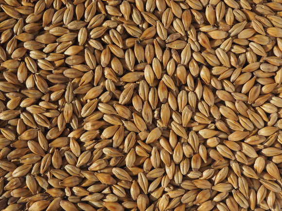 Crisp Cara Gold Malt