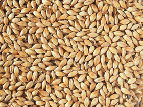 Crisp Light Crystal 150 Malt