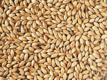 Crisp Extra Light Crystal 100 Malt