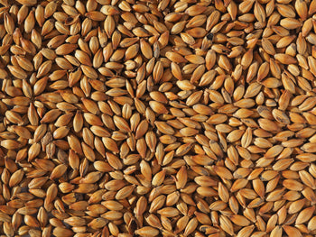 Crisp Malt