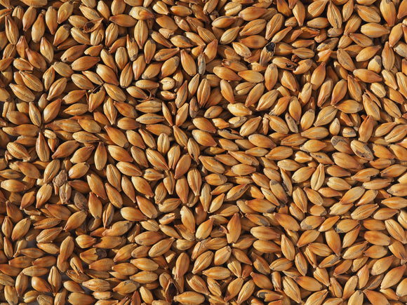 Crisp Medium Crystal 240 Malt