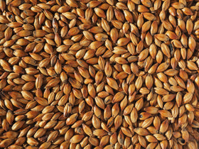 Crisp Dark Crystal 400 Malt