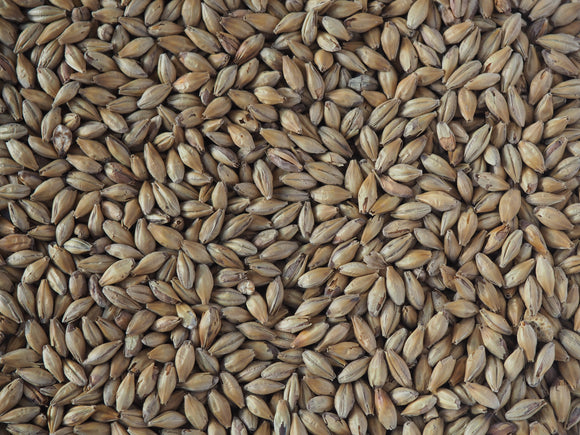 Crisp Light Munich Malt