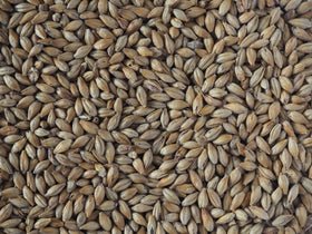 Crisp Scottish Heavy 50 Peated Malt