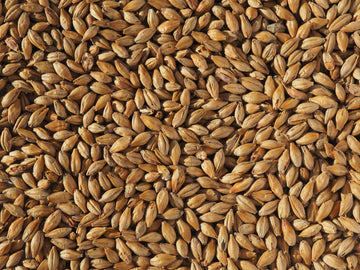 Crisp Dark Munich Malt