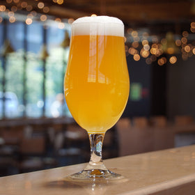 Deleterious | Double IIPA | BeerCo All Grain Brewers Recipe Kit