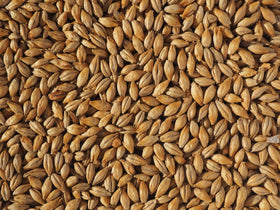 Crisp Dextrin Malt
