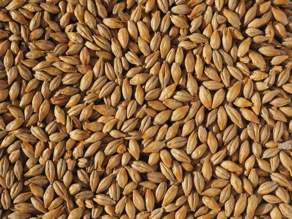 Crisp Dextrin Malt