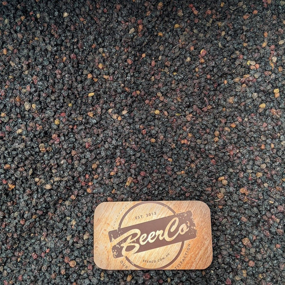 Elderberries | Sambucus Nigra