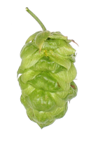 EUREKA! Hopsteiner #05256 US Hops-2