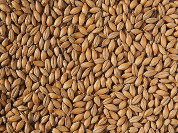 Crisp Europils Malt