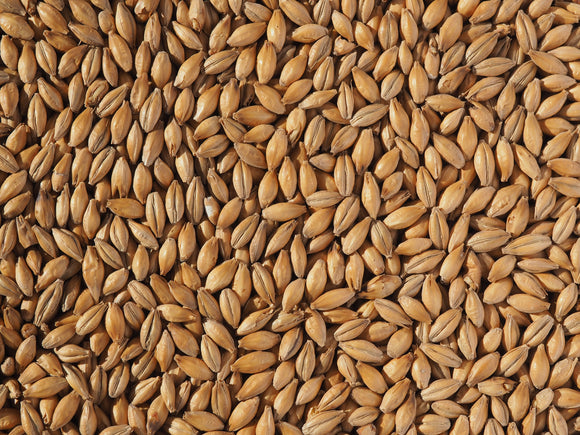 Crisp Europils Malt