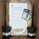 Fall Over | IPA | BeerCo All Grain Brewers Recipe Kit-2