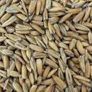 Gladfield Golden Oat Malt-1