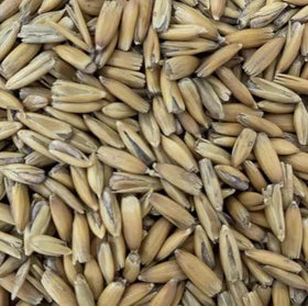 Gladfield Golden Oat Malt