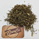 Wormwood | Artenesia absinthum-1