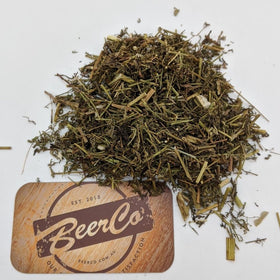 Wormwood | Artenesia absinthum