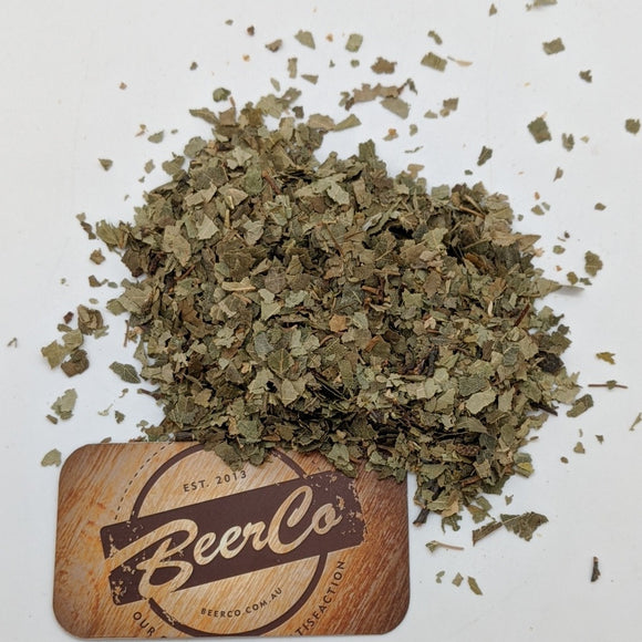 Birch Leaf | Betula Alba