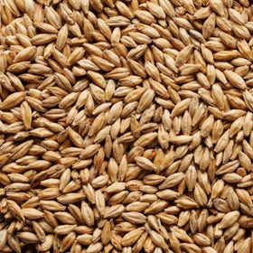 Joe White Light Munich Malt