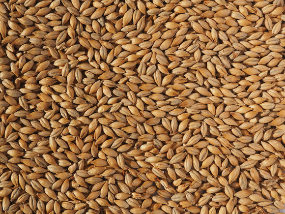 Crisp No. 19 Floor Malted Maris Otter Malt