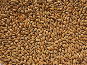 Crisp Finest Maris Otter® Ale Malt