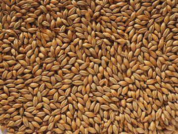 Crisp Finest Maris Otter® Ale Malt