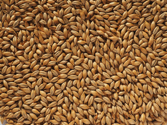 Crisp Finest Maris Otter® Ale Malt