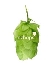 Wai-iti™ NZ Hops