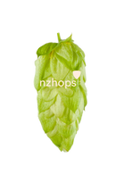 Nectaron® NZ Hops-6