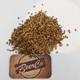 Coriander Seeds Whole | Coriandrum Sativum - 0