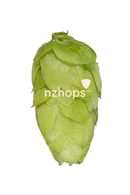 Rakau™ NZ Hops-6