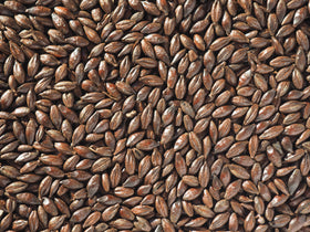 Crisp Roasted Barley