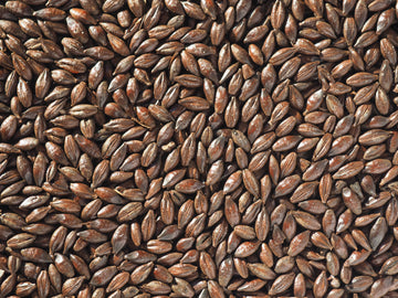 Crisp Roasted Barley