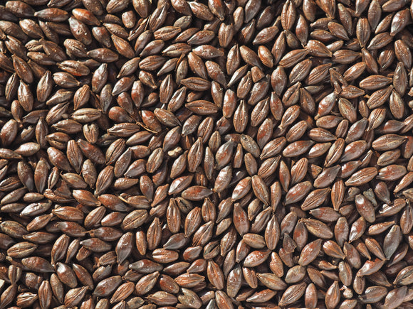 Crisp Roasted Barley