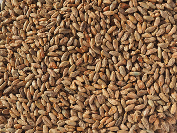 Crisp Rye Malt